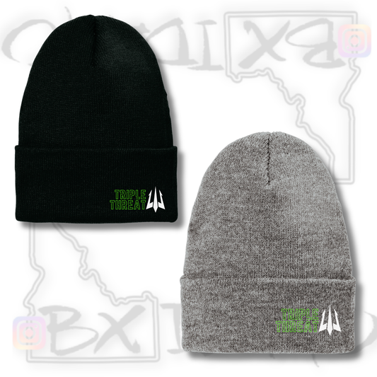 T3 Beanies